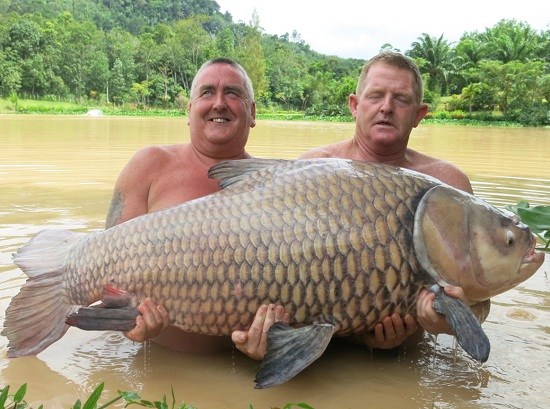 http://www.fayettefrontpage.com/uploadfile/2014/0821/20140821040628504.jpg