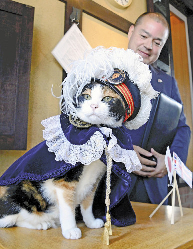 http://www.fayettefrontpage.com/uploadfile/2014/0903/20140903041907441.jpg
