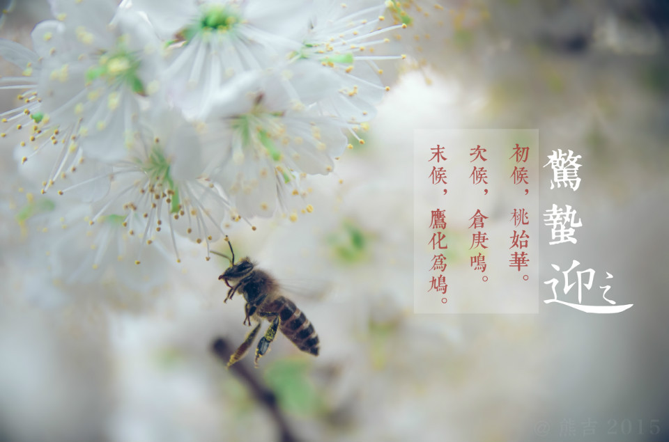 驚蟄吃這5種蔬菜，養(yǎng)生排毒效果佳