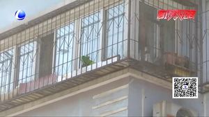 空中墜物業(yè)主車被砸 萬元修理費到底該誰出