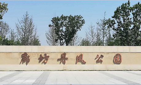 丹鳳公園建成開(kāi)園 23公頃植被打造城市新綠肺