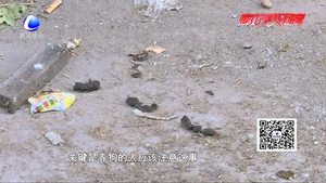 不文明行為曝光臺：細微之處凸顯文明