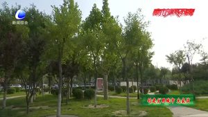 城市“牛皮癬” 大煞風景惹人煩