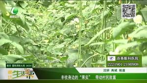 豐收身邊的“果實”帶動村民致富