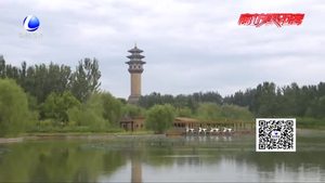 行進(jìn)中的五年：城市在發(fā)展 綠色在延伸