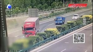 高速兩車追尾 奶牛無(wú)辜受難