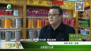 白茶是什么茶