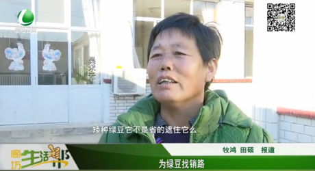 為綠豆找銷路