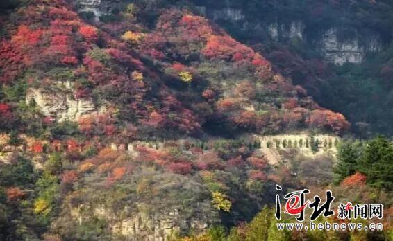 駝梁、大海陀自然保護區(qū)建設項目獲準立項