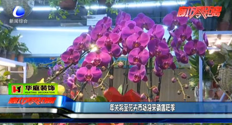 年關(guān)將至花卉市場迎來銷售旺季