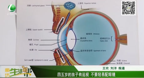 四五歲的孩子有遠視 不要輕易配眼鏡