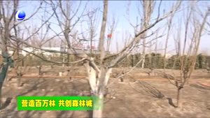 香河縣今春計(jì)劃造林11.2萬畝 打造綠色生態(tài)家園