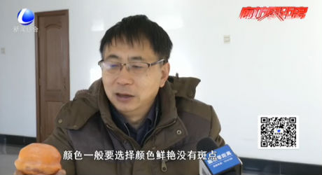食在好源頭——柿子的食用價(jià)值