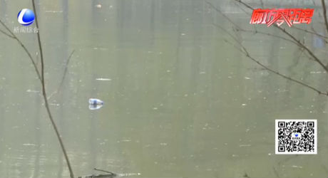 文明是最美的風(fēng)景 游園請帶上文明