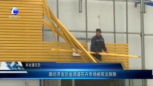 廊坊開發(fā)區(qū)金源道花卉市場被依法拆除