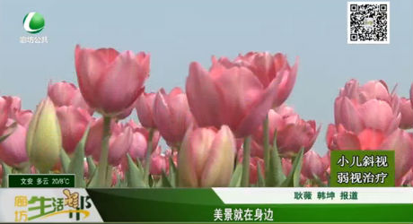 美景就在身邊