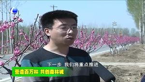 大廠縣高質(zhì)量打好造林綠化攻堅(jiān)戰(zhàn)