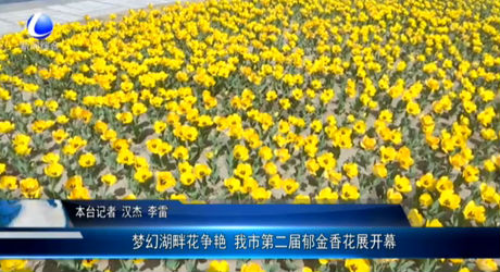 夢(mèng)幻湖畔花爭(zhēng)艷 我市第二屆郁金香花展開(kāi)幕