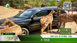 五一輕松游