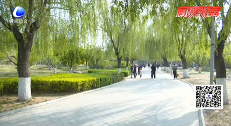 純色滿園關不住 我市開啟賞花踏青模式
