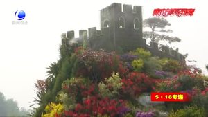 “5·18”我們準(zhǔn)備好了：主題造型花壇亮相主會(huì)場(chǎng)