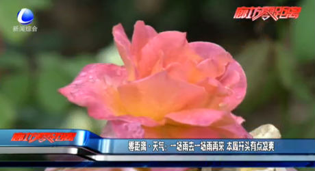 一場(chǎng)雨去一場(chǎng)雨再來(lái) 本周開頭有點(diǎn)涼爽