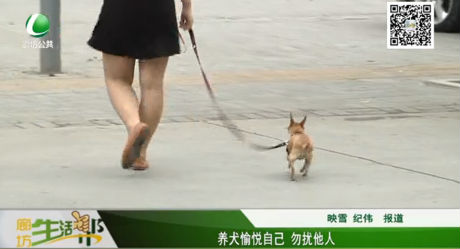 養(yǎng)犬愉悅自己 勿擾他人