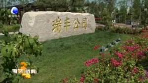 市政協(xié)委員圍繞主城區(qū)建設(shè)開(kāi)展視察和協(xié)商議政活動(dòng)