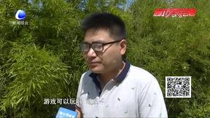沉迷手機的孩子 內(nèi)心快樂嗎？