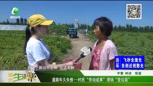 道路年久失修——村民“勞動成果”滯銷“變垃圾”