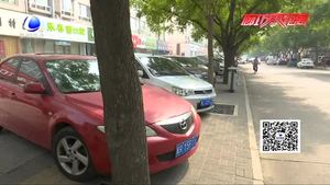 大樹(shù)底下好乘涼 車(chē)漆危害不容忽視