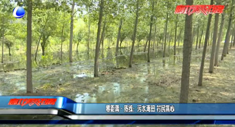 零距離·熱線：污水淹田 村民焦心