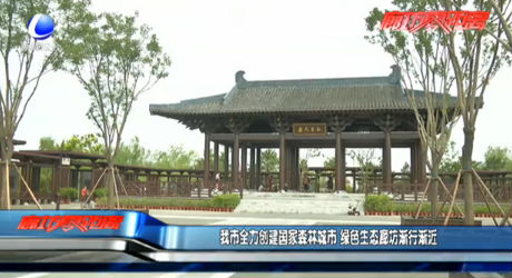 我市全力創(chuàng)建國家森林城市 綠色生態(tài)廊坊漸行漸近