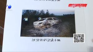 三歲男孩被撞飛司機肇事逃逸 民警兩月擒兇