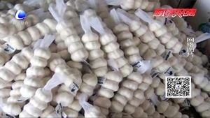 拉蒜車“綠色通道”通不過(guò)？工作人員：干皮大蒜有別于鮮蒜 不減免