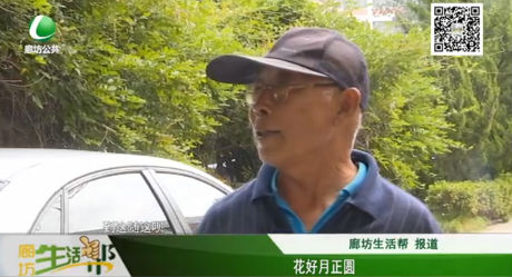 花好月正圓