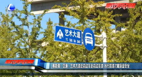 藝術(shù)大道非機動車走機動車道 各行其道才能保證安全