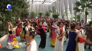 京津冀麥西來甫舞交流活動在我市舉行
