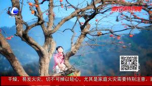 秋色盡冬將來(lái) 霜林盡染迎霜降