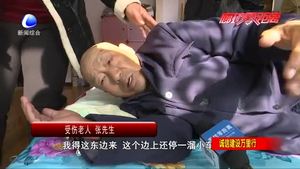肇事車主撞到老人后不知所蹤 家人求線索