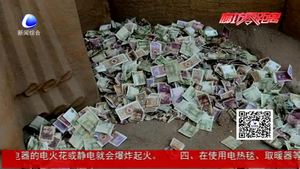 在博物館投幣祈福  公民公共素養(yǎng)有待提高