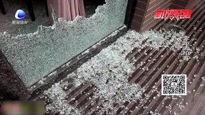 廊坊三大街店鋪被砸 盜賊2分鐘結束“戰(zhàn)斗”