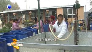 做紅薯深加工大文章 發(fā)展生態(tài)農業(yè)促農民增收