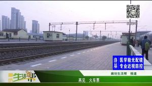 再見(jiàn) 火車票