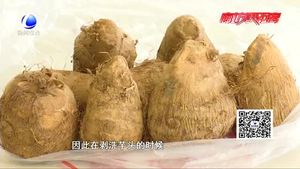 食在好源頭——芋頭的食用價(jià)值