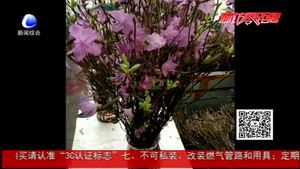 干枝杜鵑再現(xiàn) 業(yè)內(nèi)人士：大規(guī)?？撤テ茐纳鷳B(tài)平衡