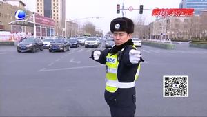 二十年春節(jié)堅(jiān)守 只為護(hù)航回家路