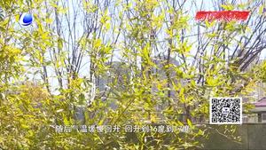 小雨過(guò)后 陽(yáng)光回歸北風(fēng)起