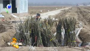 全國(guó)人大代表方金華：服務(wù)果農(nóng)面對(duì)面“兩會(huì)”精神到田間