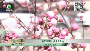 春花爛漫時 美景在身邊